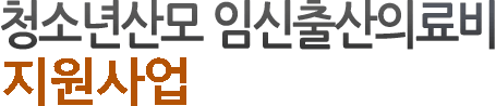청소년산모 임신/출산 의료비 지원 사업